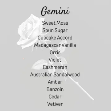 Gemini