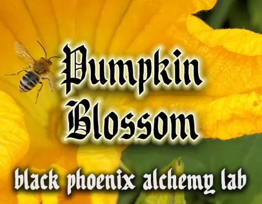 Pumpkin Blossom 2026 Perfume Oil