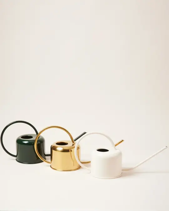 Loopy Watering Can