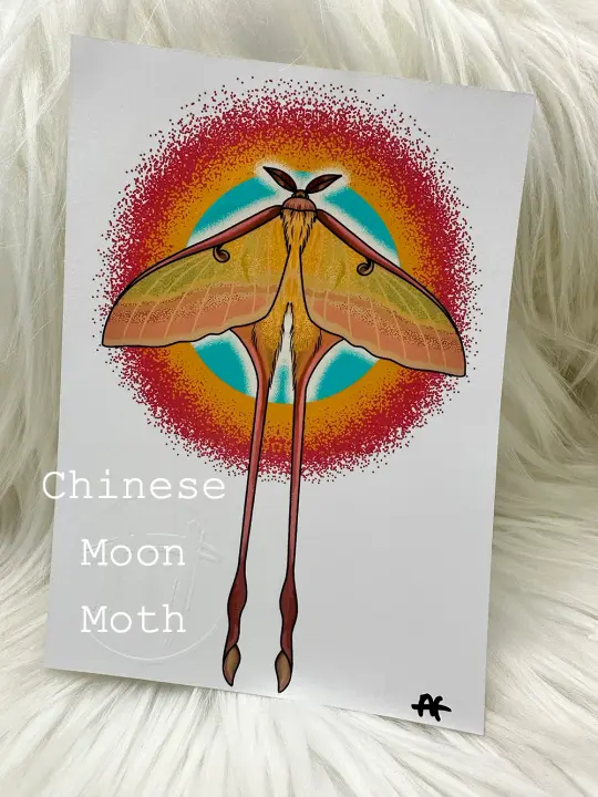 5"x7" Insect Prints (3 different options)
