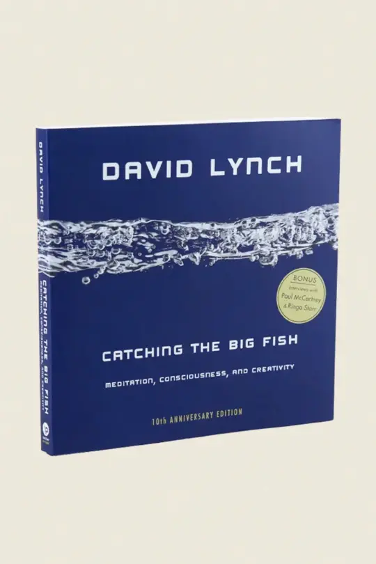 Catching the Big Fish: Meditation, Consciousness & Creativity