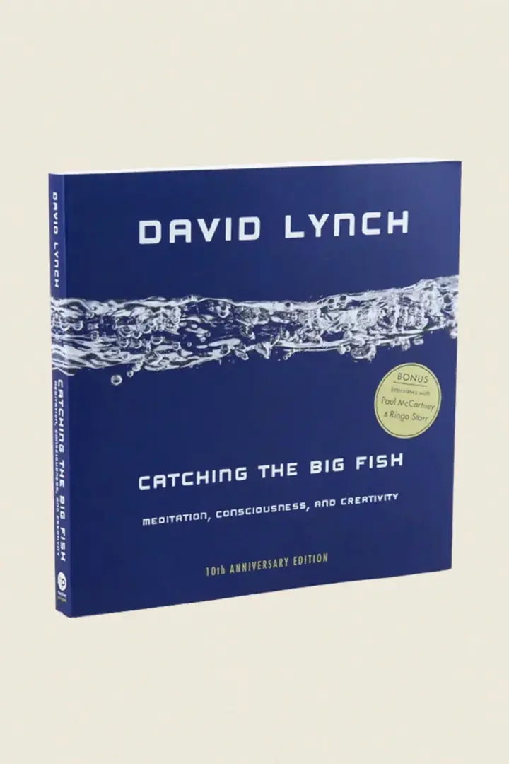 Catching the Big Fish: Meditation, Consciousness & Creativity