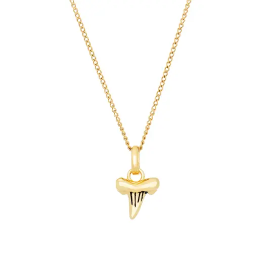 Shark Tooth Necklace