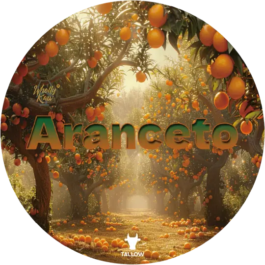 Aranceto Shaving Soap
