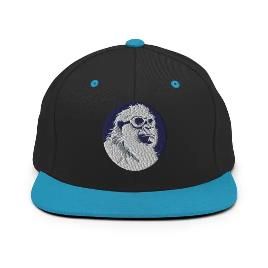 Snapback Hat