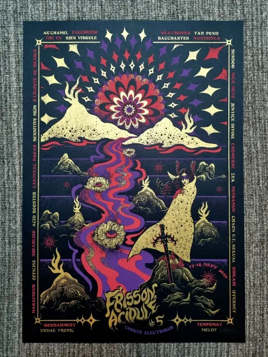 FRISSON ACIDULÉ  #5 (gigposter Paris)