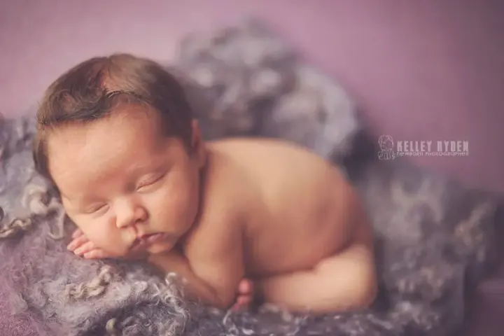 Nest of Curls Blanket - LAVENDER FIELD