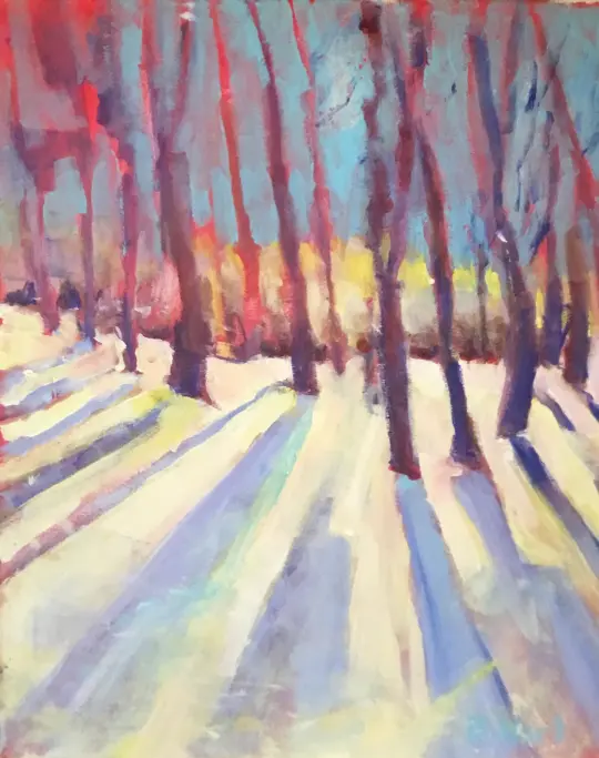 Shadows in the Snow