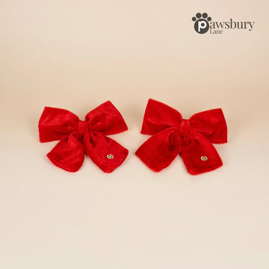 Dazzling Velvet - Red -  Human Bow Barrette and Pet Bow - Bundle & Save