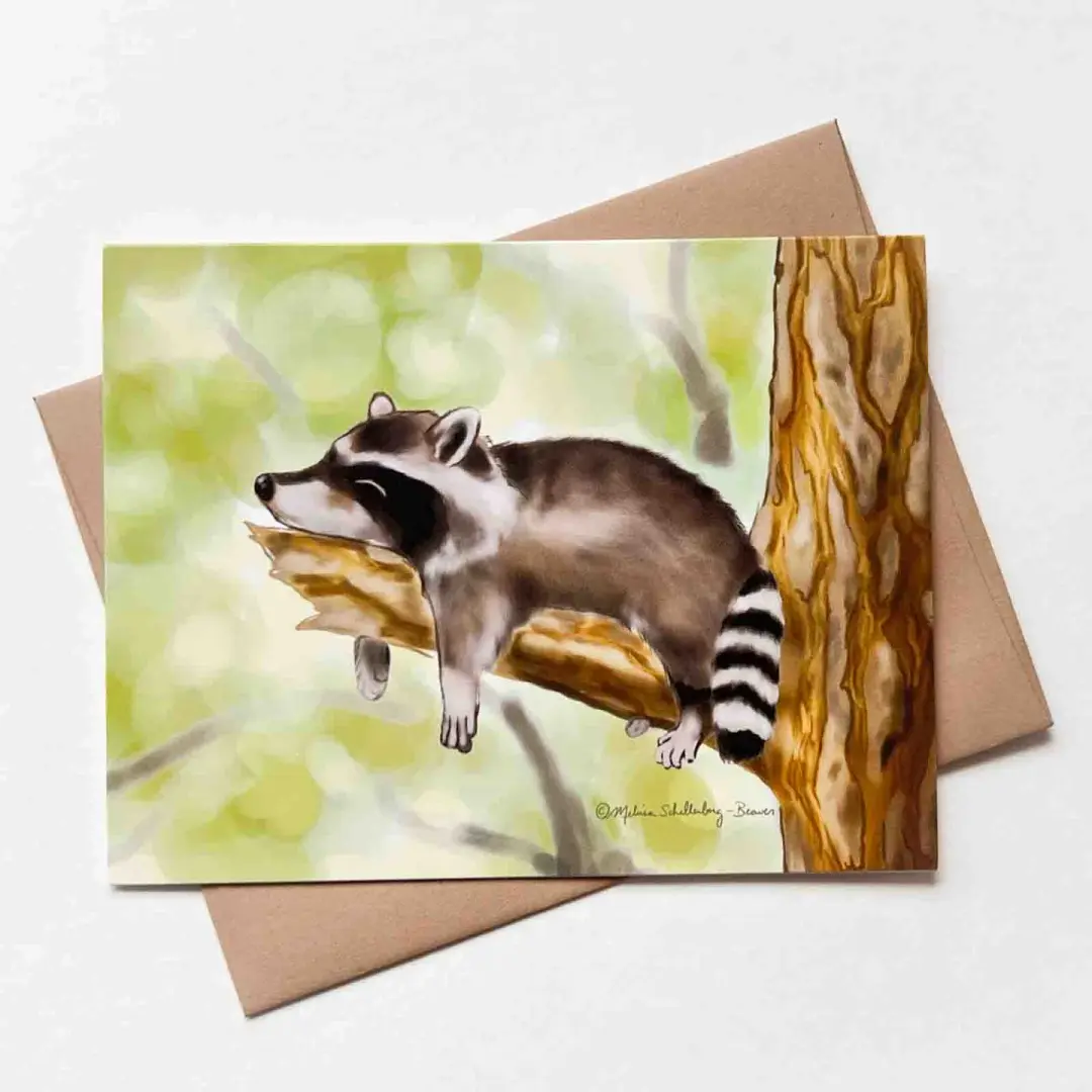 Napping Raccoon Card, Wholesale 6 Pack