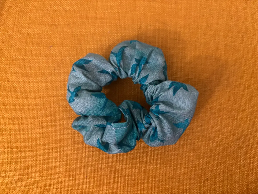 Bird Crinkle Catnip Toy