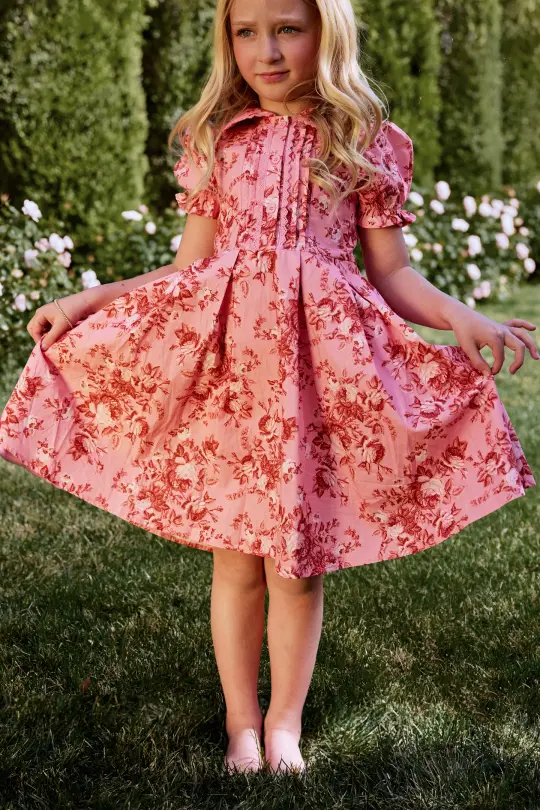 Mini Sophia Dress in Desert Heritage Rose