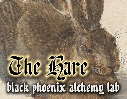 The Hare 2026 Perfume Oil