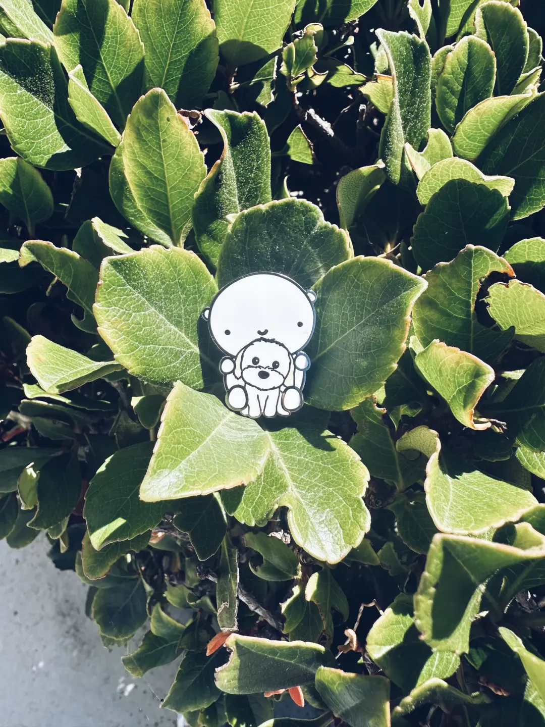 ANDIE bear enamel pin - OTIS design