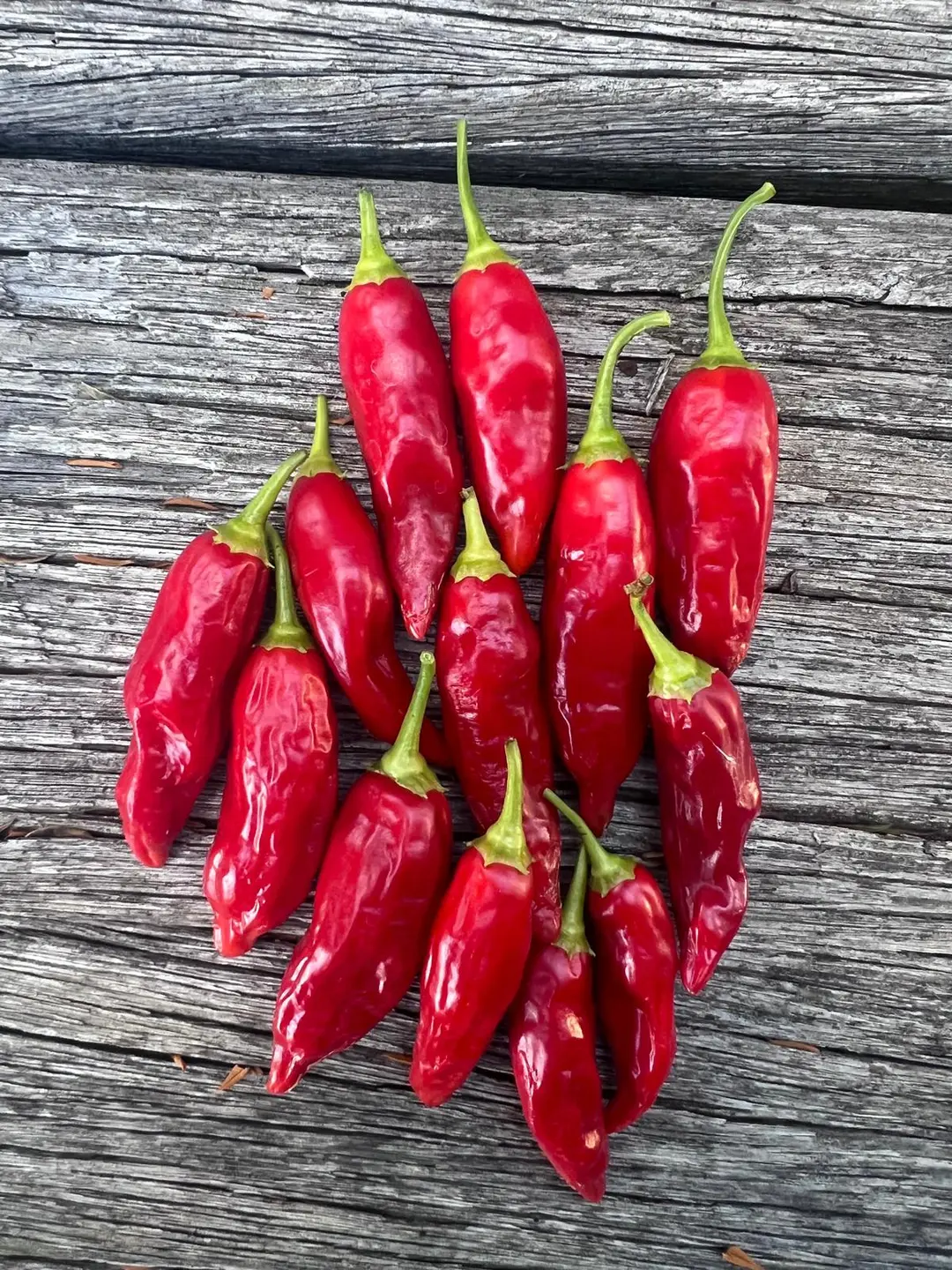 Aji Valle de Canca