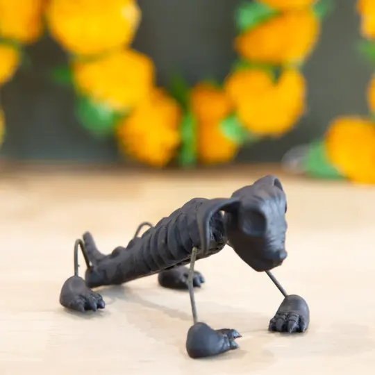 Perrito en Negro From Capula Skeleton Sculpture