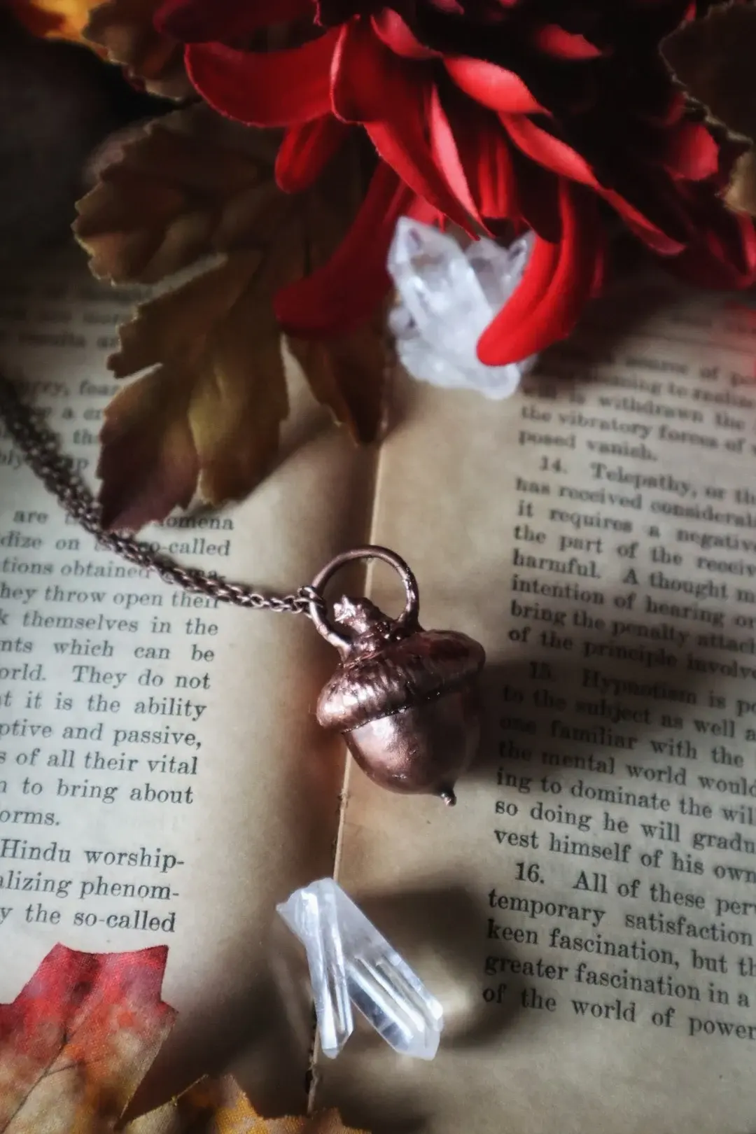 Copper Acorn