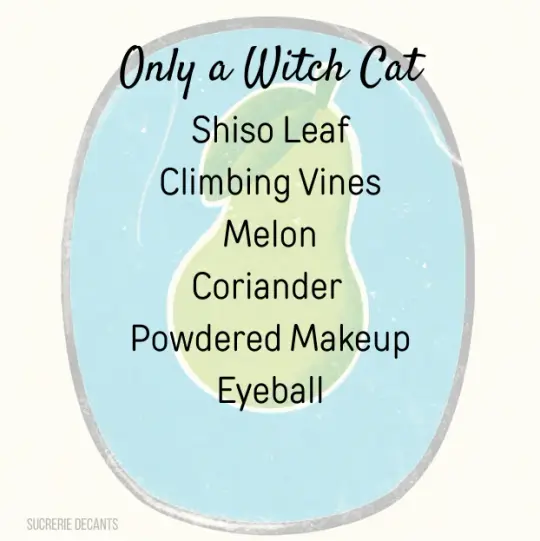 Only a Witch Cat