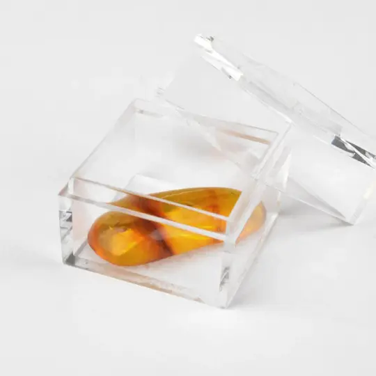 Insect Inclusion Amber Collectible