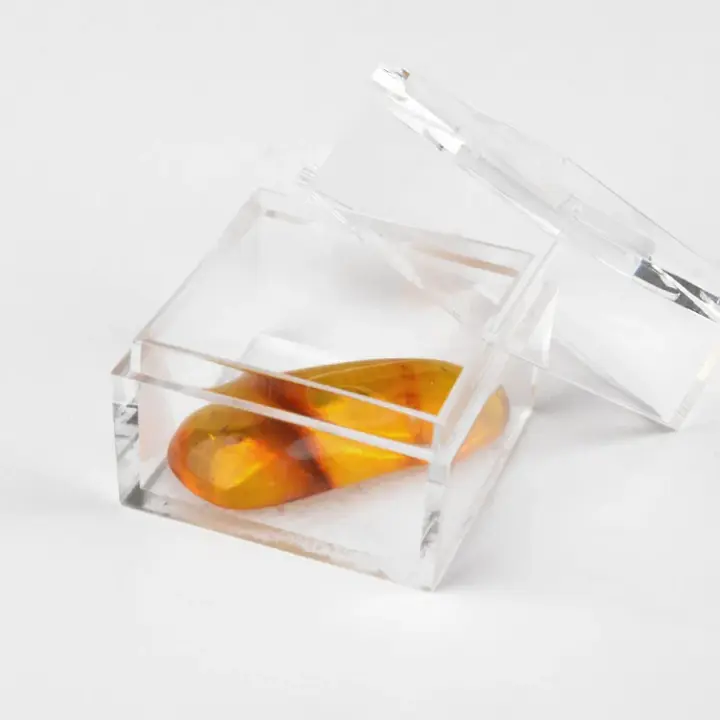 Insect Inclusion Amber Collectible