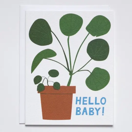 "Hello Baby" Pilea Plant Card