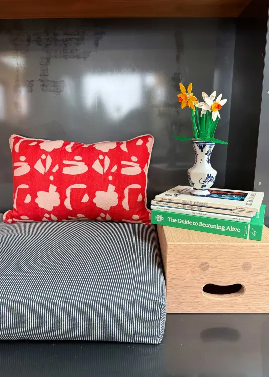 snuggle piped pillow | home | postcard