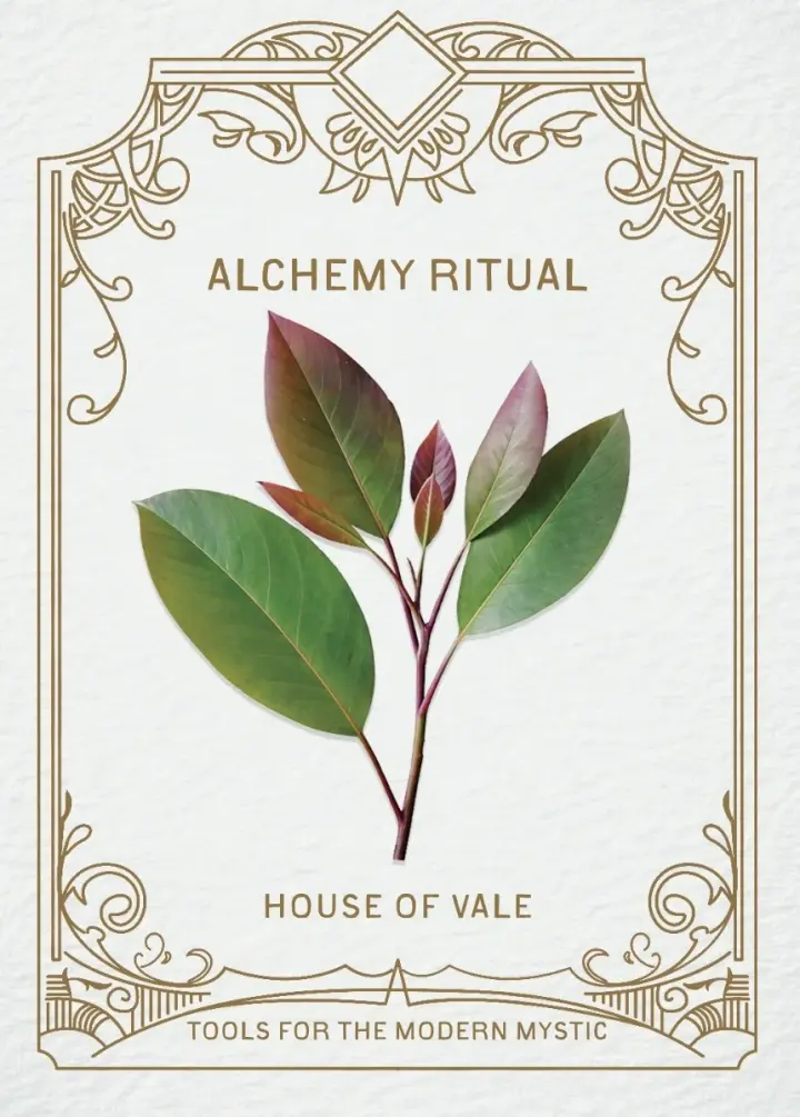 Alchemy Ritual Kit