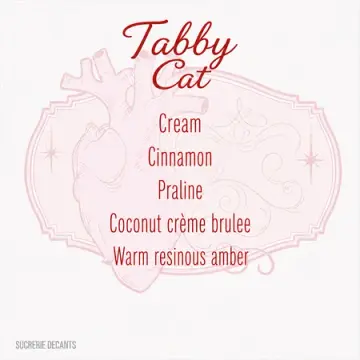 Tabby Cat