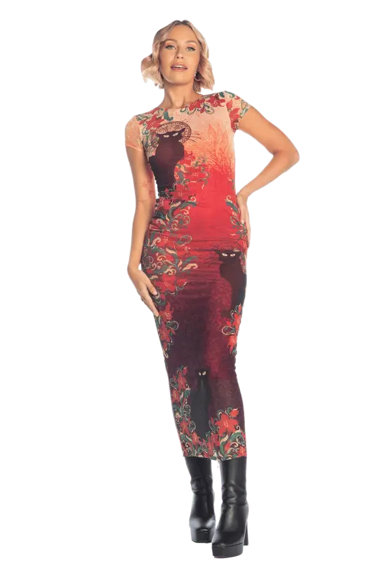 Le Chat Noir Sheer Cap Sleeve Bodycon Dress