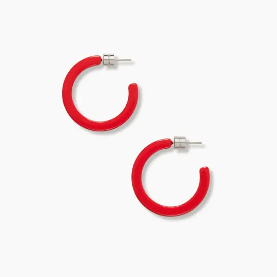 Mini Hoop Earrings