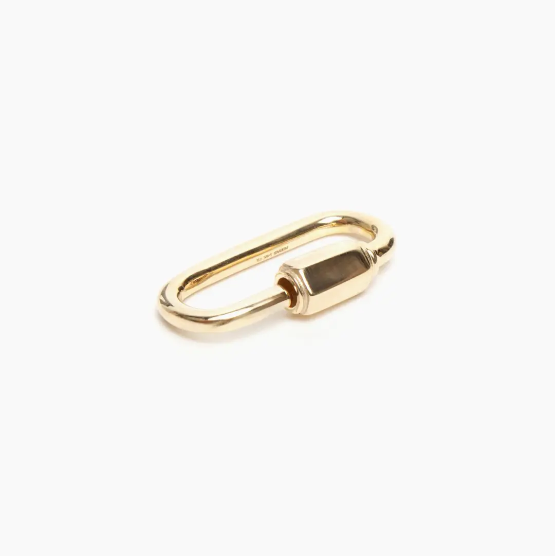 Gold Carabiner Locking Charm