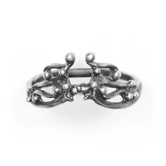 Bat Wing. Nesting Band III.