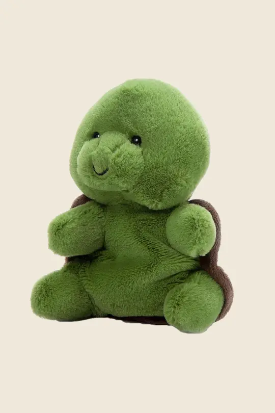Turtle Buddy