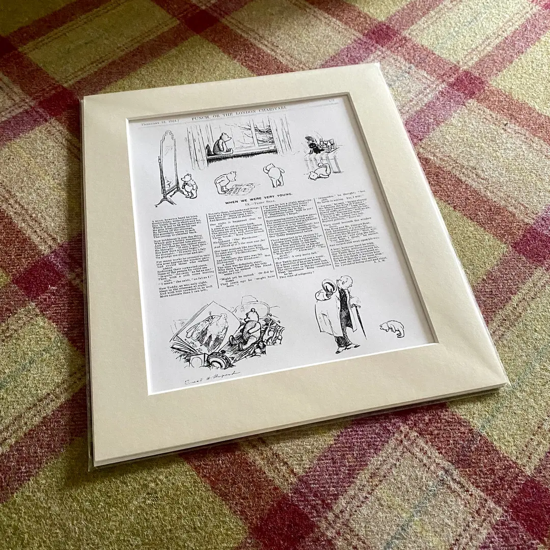 Punch 'Teddy Bear' Print