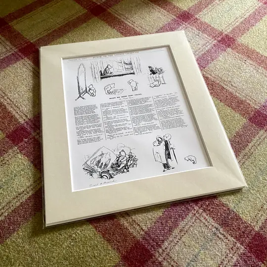 Punch 'Teddy Bear' Print