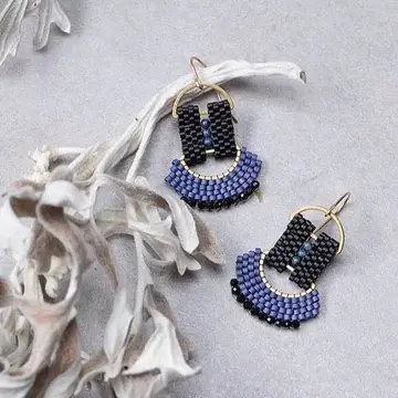 Fan Earrings in Black