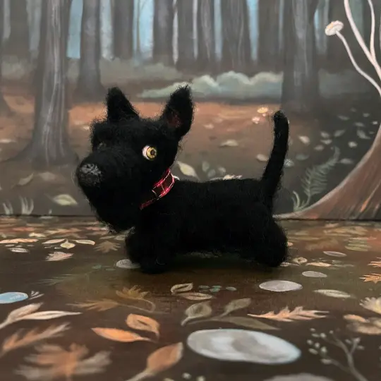 Licorice