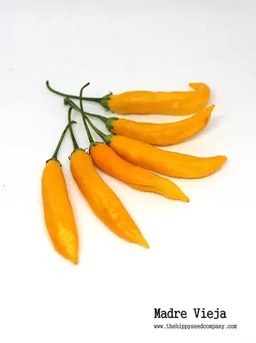 Madre Vieja Chilli