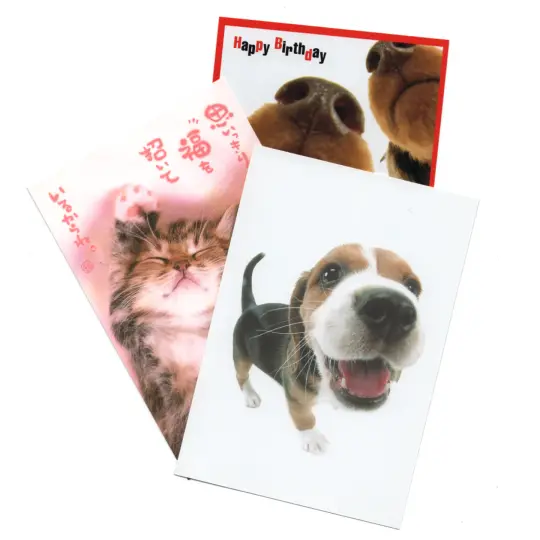 animal postcards