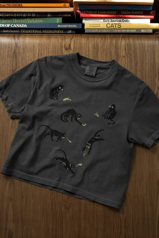 Frenemies (Cat & Frog) Boxy Tee
