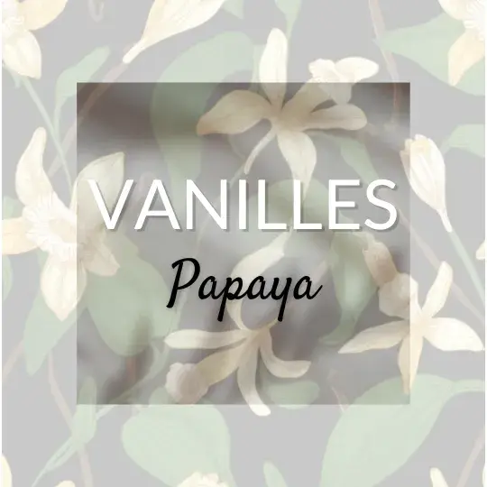 Papaya Vanille