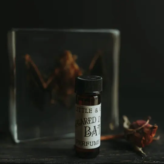 Sugared Donut Bat | Artisan Perfume