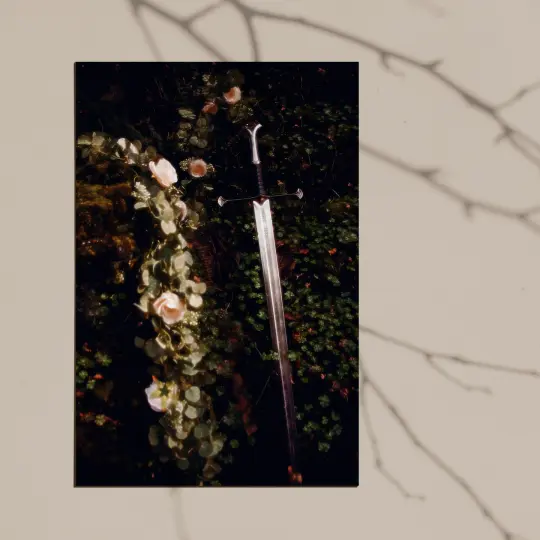 By The Sword II Giclee Print