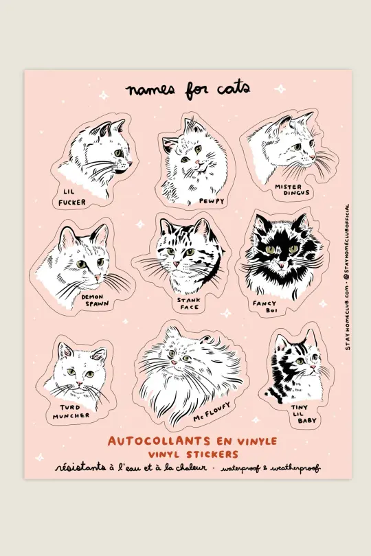 Names for Cats Mega Sticker Sheet