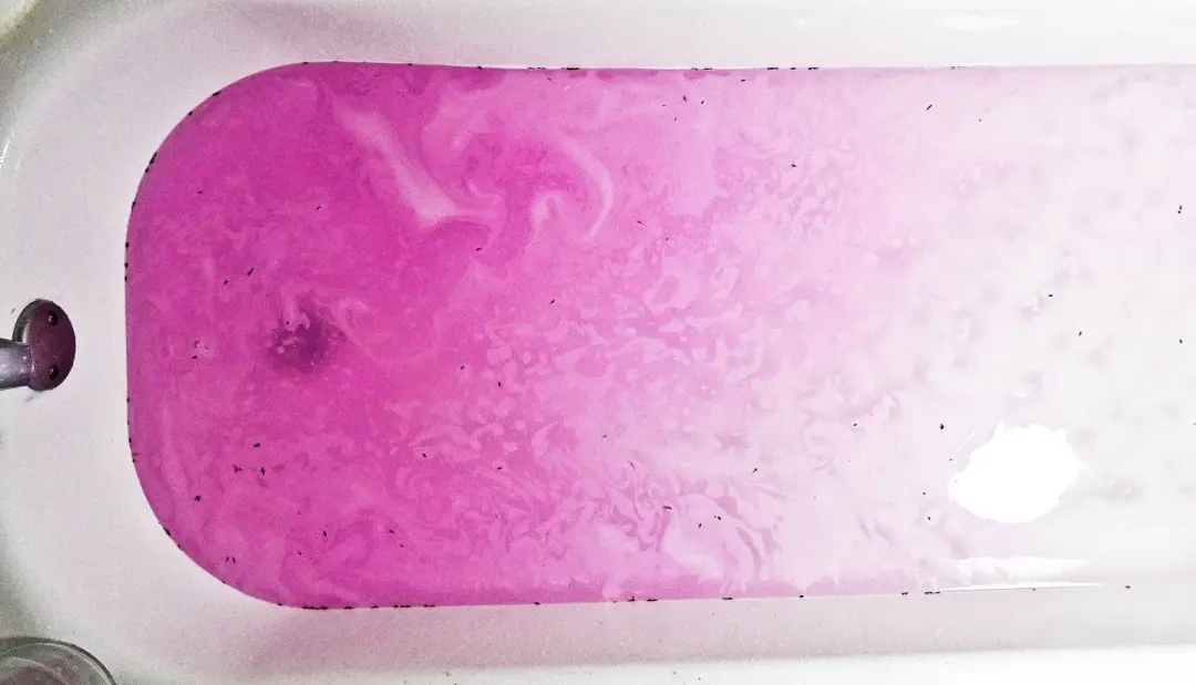 Lavender Melody 🎶 Calming Bath Bomb [2-Pack]