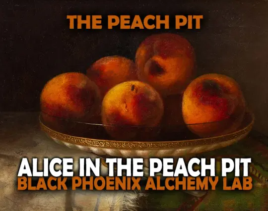 Alice in the Peach Pitt Perfume Oil