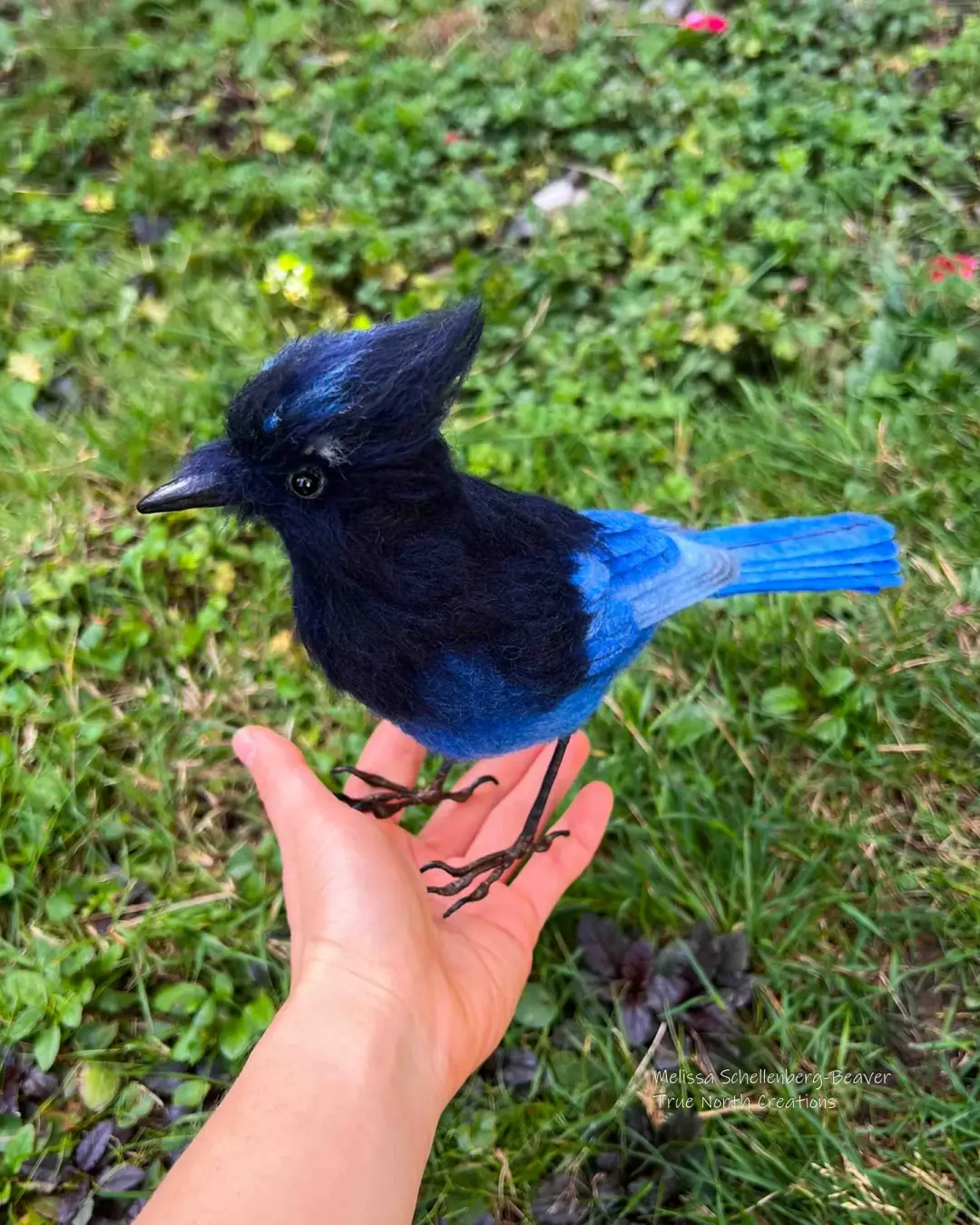 Steller's Jay - Felted Bird Sculpture