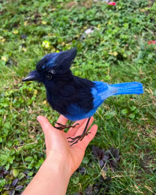 Steller's Jay - Felted Bird Sculpture