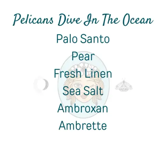 Pelicans Dive In The Ocean