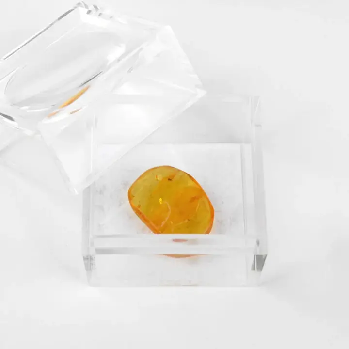 Small Amber Nugget for Collectors